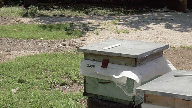 乔治亚州养蜂场里的蜂箱