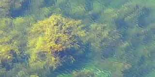 巴伦支海碧绿透明的海水