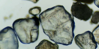 显微镜下的河沙颗粒