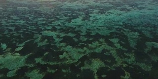 鸟瞰图美丽的海滩，巴厘岛
