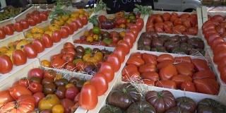 村民们在当地的蔬菜市场上出售不同种类的西红柿，进行贸易