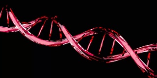 红色DNA分子结构分离在黑色上