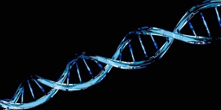 蓝色DNA分子结构分离在黑色上