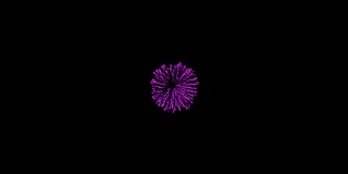 4k粒子波介绍抽象的花