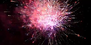 在庆祝活动中，各种颜色的烟花在夜空中爆炸。
