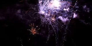 在庆祝活动中，各种颜色的烟花在夜空中爆炸。