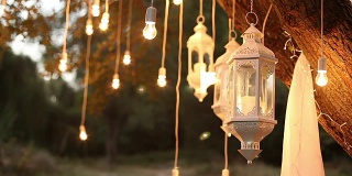 装饰仿古爱迪生风格的灯丝灯泡挂在树林里，玻璃灯笼，夜间装饰花园的灯，魔幻森林里，灯泡和辉光挂在森林的树上