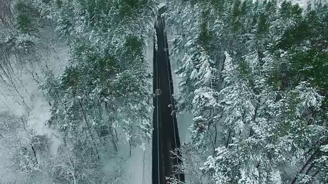 在冬季无人机拍摄的画面中，一辆汽车穿过积雪的松林