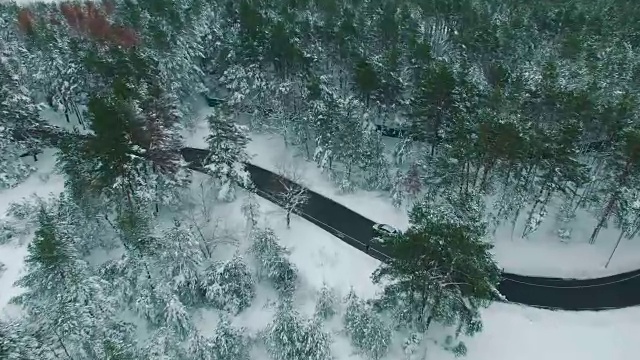 在冬季无人机拍摄的画面中，一辆汽车穿过积雪的松林