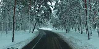 在冬季无人机拍摄的画面中，一辆汽车穿过积雪的松林
