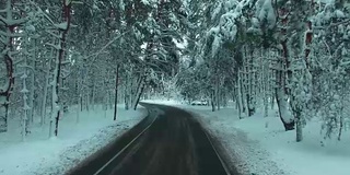 在冬季无人机拍摄的画面中，一辆汽车穿过积雪的松林