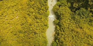 菲律宾热带雨林中的罗博河，保和河