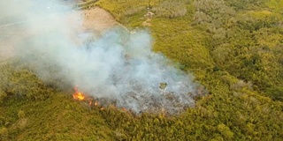 森林火灾。Busuanga,菲律宾巴拉望省