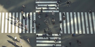 银座十字路口鸟瞰图-慢镜头