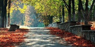 秋天的小巷