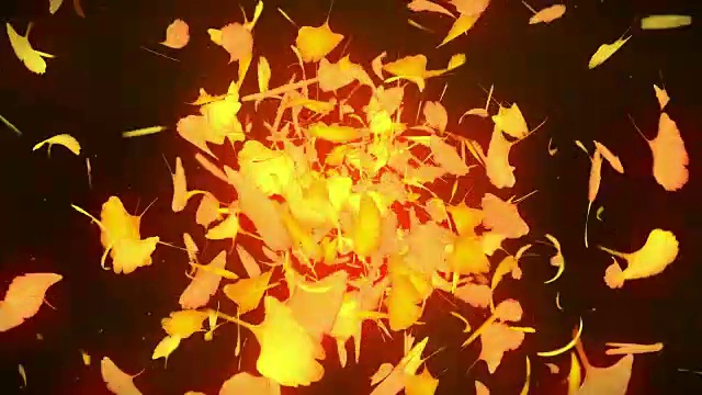 秋叶落在黄色的背景，银杏叶，环闪动画，