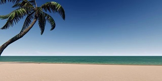沙滩上有棕榈树和蓝天