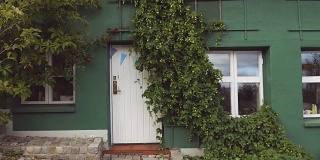 覆盖着绿色常春藤的房子的外墙