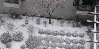 鸟瞰图低层公寓和小树在寒冷的暴风雪雪天