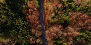 鸟瞰图:秋天巴伐利亚森林里的乡村道路