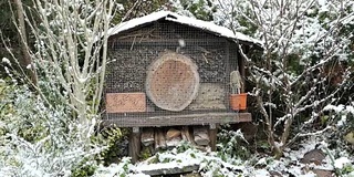 冬天的野生蜂虫旅馆。下雪在花园。