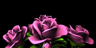 黑色文字空间上的粉色玫瑰花束