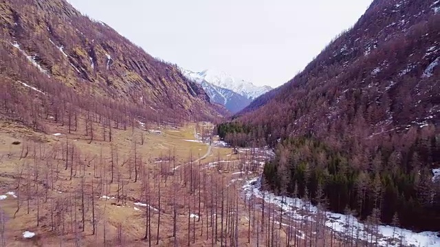 空中飞行，向后移动，远离黄河溪谷和森林森林的落差。秋冬户外雪野自然景观。4k无人机飞行建立镜头