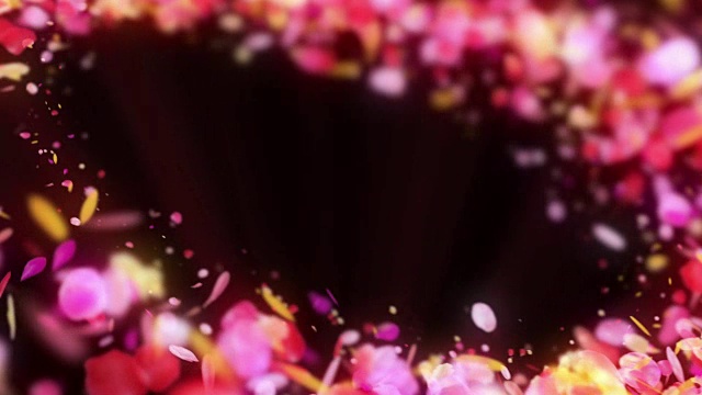 彩色花瓣旋转，CG动画，粒子，循环
