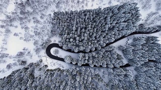 高空鸟瞰汽车行驶在山区冬季积雪覆盖的森林的发夹弯道上。白松树林。雪街道道路建立。4k无人机垂直飞行