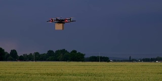 WS无人机带着盒子降落在田野中央