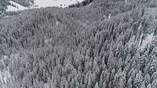 冬季景观-布雷斯湖，意大利-意大利阿尔卑斯山