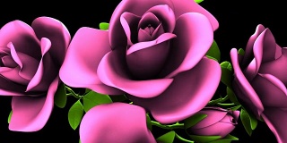 黑色背景上的粉色玫瑰花束