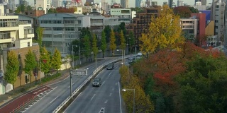 秋季东京市景与东京塔