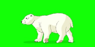 北极熊走Chroma