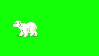 小北极熊泰迪熊走Chroma视频素材模板下载