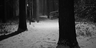 冬夜景观-黑色和白色的夜景与飘落的雪在空旷的夜公园
