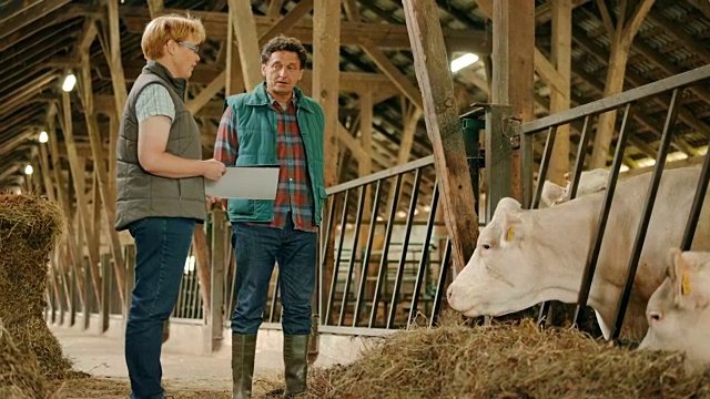 一个女兽医和一个男农夫在牛棚旁边聊天