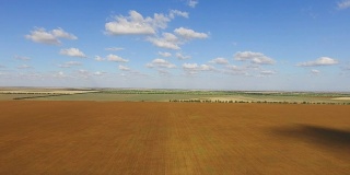 图片:晴朗阳光下的农田