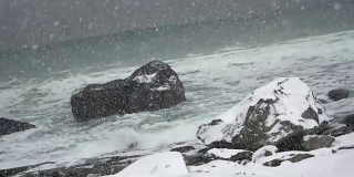 挪威罗弗敦群岛冬季暴风雪和海滩的4K视频