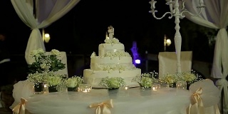 非常漂亮的婚礼蛋糕，用不同的颜色突出