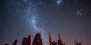 新西兰坎特伯雷特卡波湖的银河系和麦哲伦星云与星系恒星的时光流逝运动