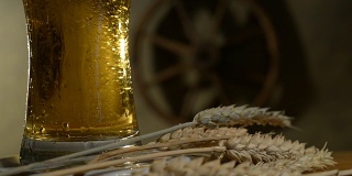 啤酒杯和大麦。旋转。