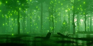 梦幻之夜森林沼泽上的仙女灯