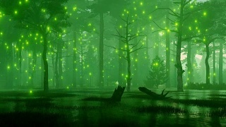 梦幻之夜森林沼泽上的仙女灯视频素材模板下载