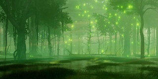 神秘的萤火虫灯在沼泽夜森林