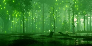 沼泽般的夜森林里闪烁着神秘的萤火虫