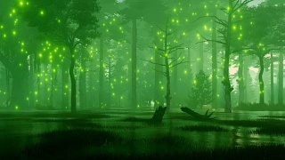沼泽般的夜森林里闪烁着神秘的萤火虫视频素材模板下载