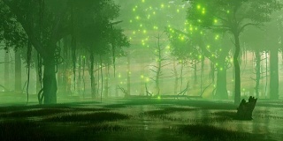 有神奇萤火虫灯光的夜森林沼泽