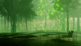 有神奇萤火虫灯光的夜森林沼泽视频素材模板下载