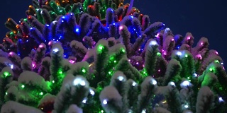 有发光装饰品的圣诞树。圣诞树在公园里的雪地里